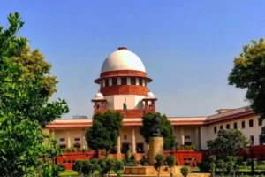 court.1