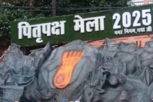 gaya