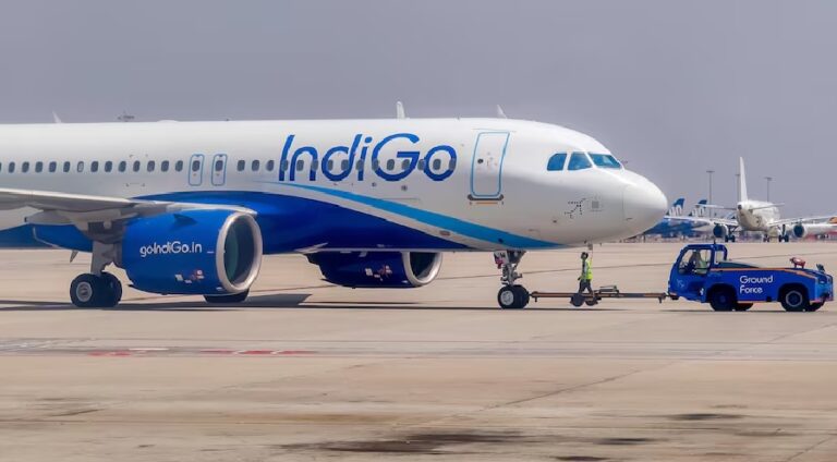 indigo12