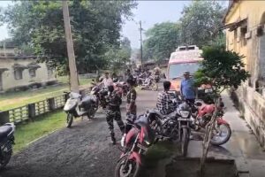 koyala