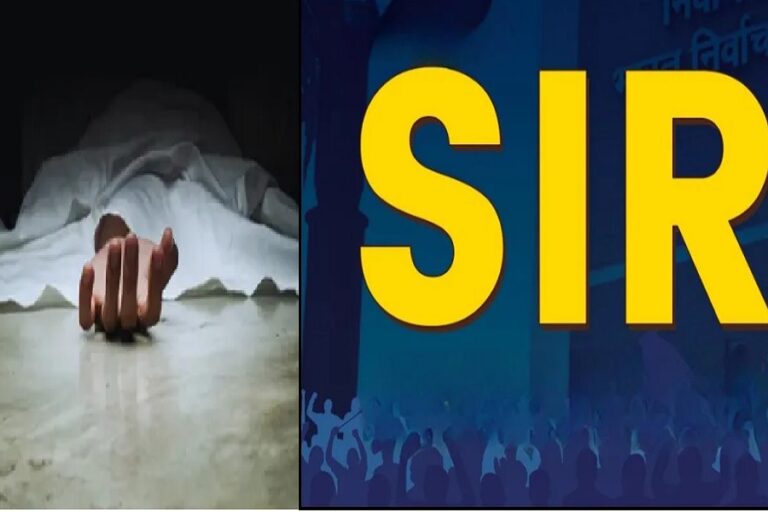 SIR1111