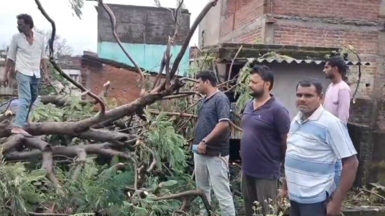 लोहरदगा में पुराना विशाल पेड़ गिरा, दो मकान क्षतिग्रस्त; परिवार बाल-बाल बचे