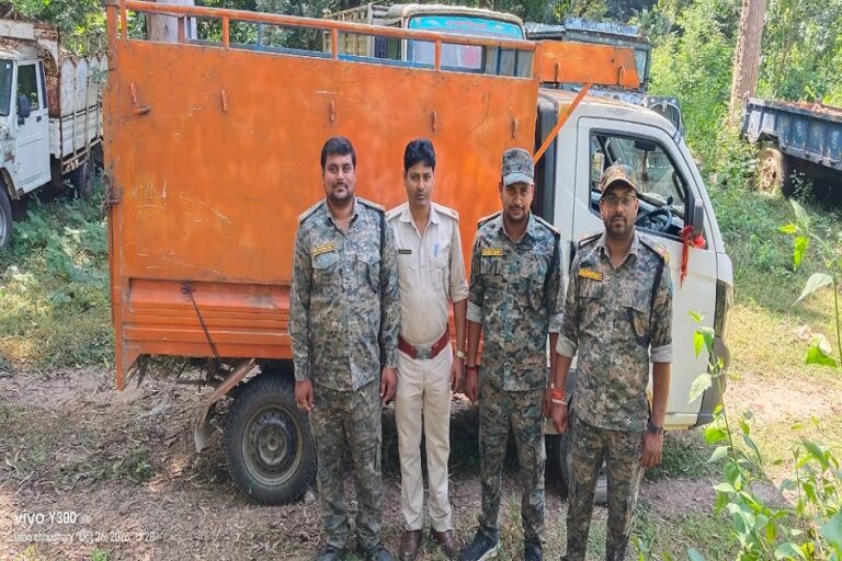 गिरिडीह में वन विभाग की कार्रवाई, अवैध माइका लदा वाहन जब्त; चालक फरार